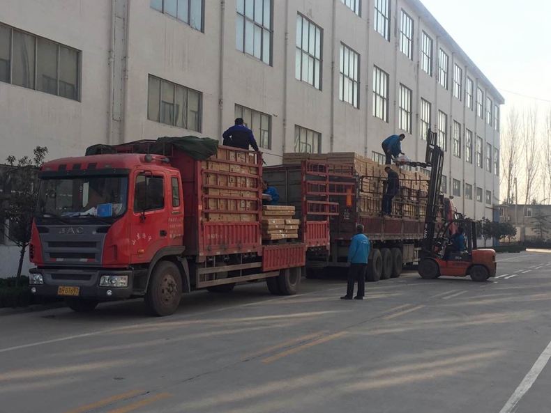 香蕉福利导航香蕉视频入口溫暖出發